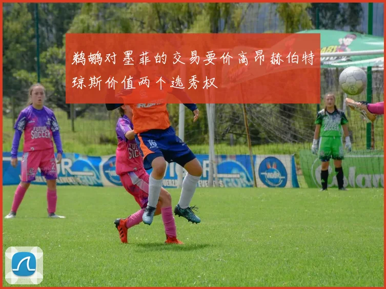 鹈鹕对墨菲的交易要价高昂赫伯特琼斯价值两个选秀权