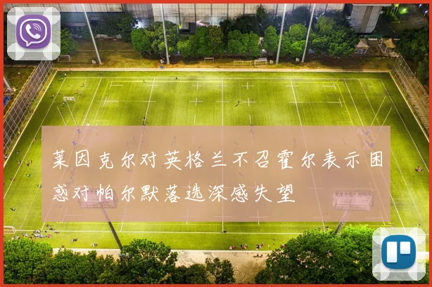 莱因克尔对英格兰不召霍尔表示困惑对帕尔默落选深感失望
